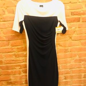 NWT Anne Klein Color block Career Dress. 💕